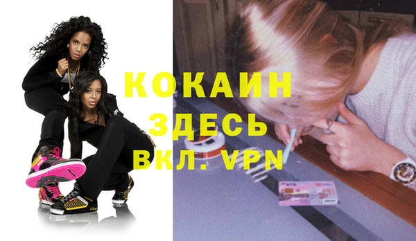 прущие грибы Гусь-Хрустальный