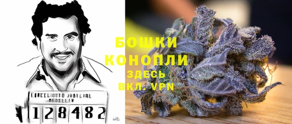 прущие грибы Гусь-Хрустальный