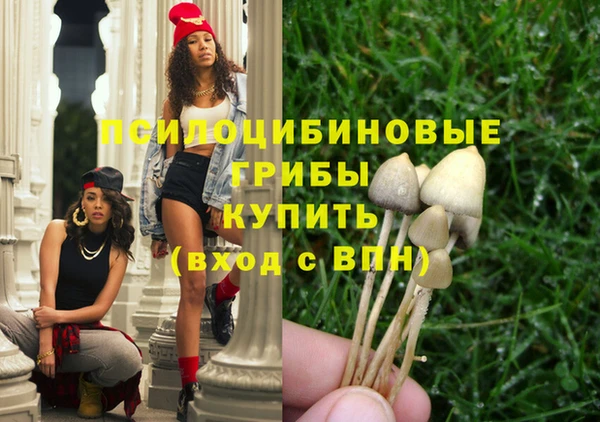 прущие грибы Гусь-Хрустальный