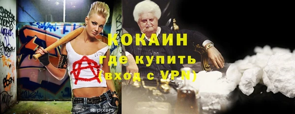 прущие грибы Гусь-Хрустальный