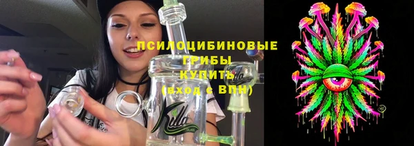 прущие грибы Гусь-Хрустальный
